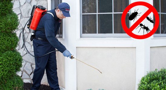 Ilgaz Böcek İlaçlama böcek ilaçlama ve haşere kontrolü — ilaclama-tr.com